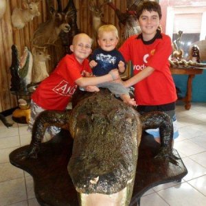 Gardiner boys taxidermy store